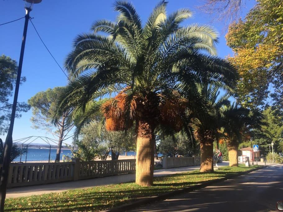Ferienwohnung Nena In Crikvenica Dış mekan fotoğraf