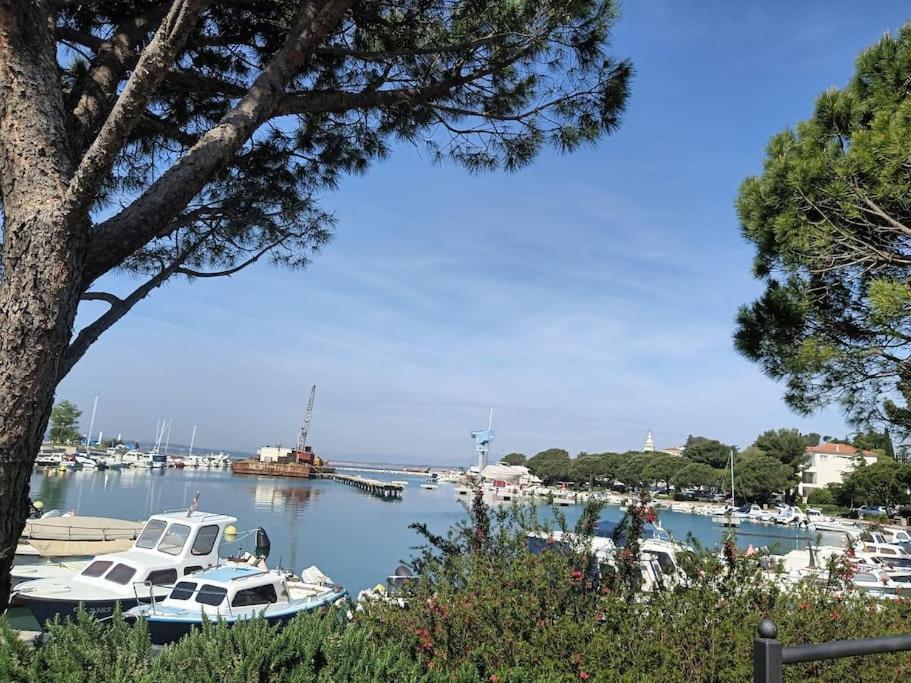 Ferienwohnung Nena In Crikvenica Dış mekan fotoğraf