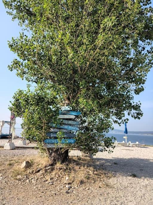 Ferienwohnung Nena In Crikvenica Dış mekan fotoğraf