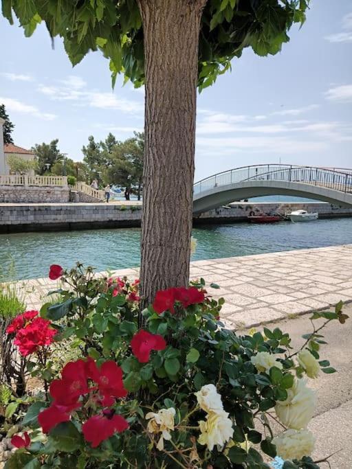 Ferienwohnung Nena In Crikvenica Dış mekan fotoğraf